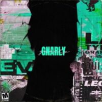 track-artwork