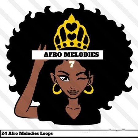 Hookshow Afro Melodies 7
