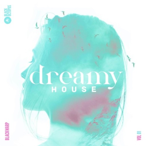 Dreamy House Vol 1