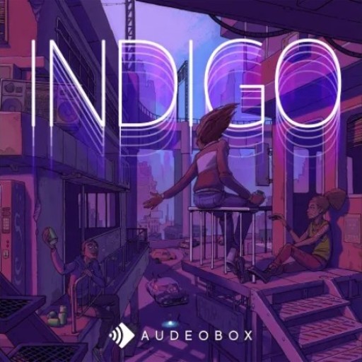 AudeoBox Indigo