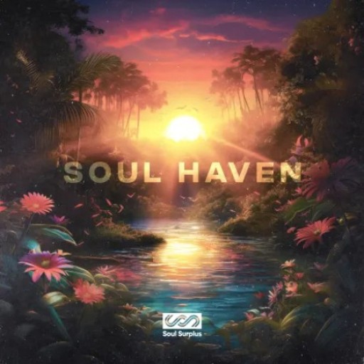 Soul Surplus Soul Haven