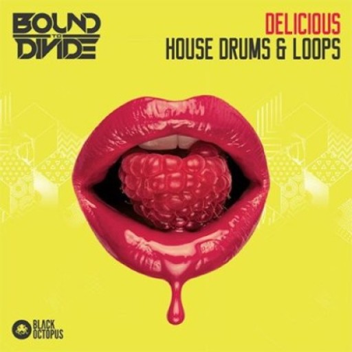 Delicious House Drums and Loops