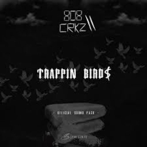 Trappin Birds