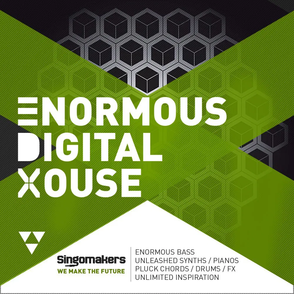 Enormous Digital House