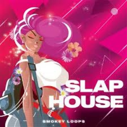 Smokey Loops Slap House