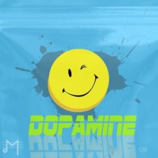 Major Loops Dopamine