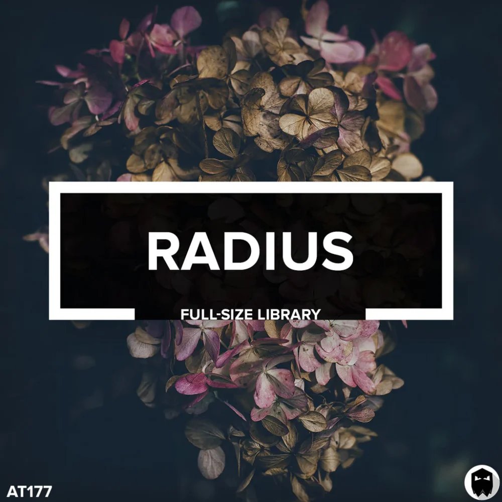 Audiotent Radius