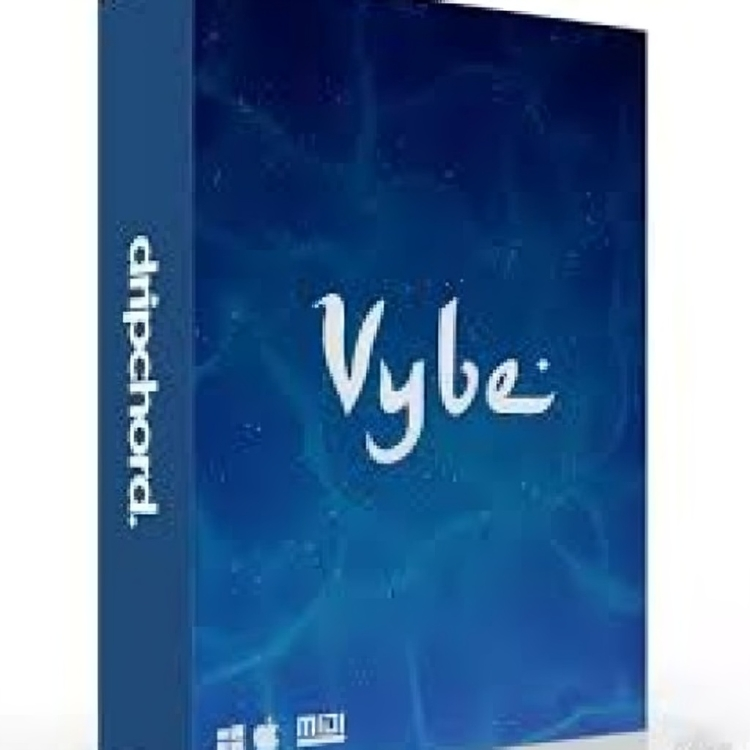 Dripchord Vybe