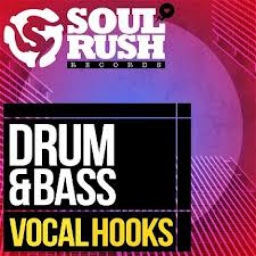 Drum and Bass Vocal Hooks