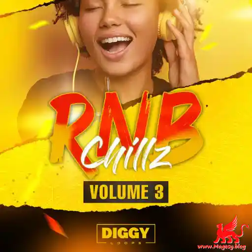 HOOKSHOW RnB Chillz 3