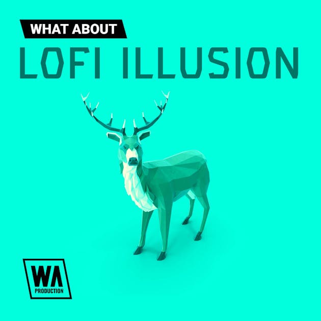 Lofi Illusion