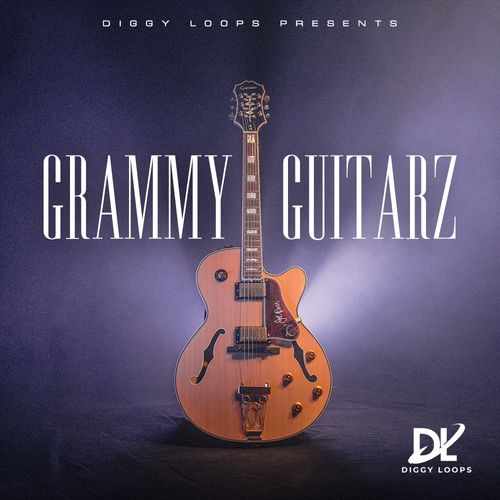 HOOKSHOW Grammy Guitarz