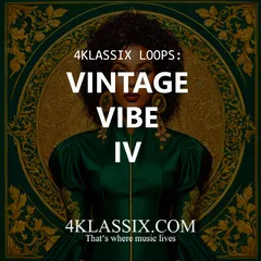 Vintage Vibe IV