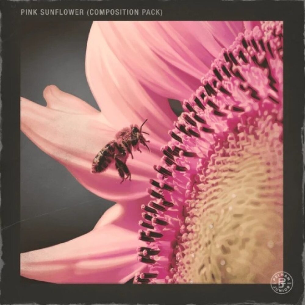 Pink Sunflower Vol 1
