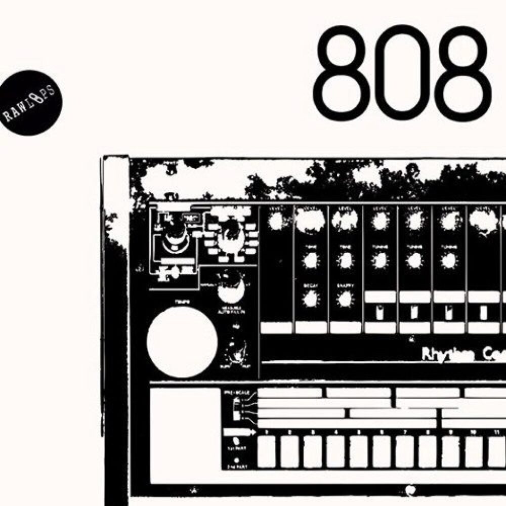 RAW 808 Drum Hits