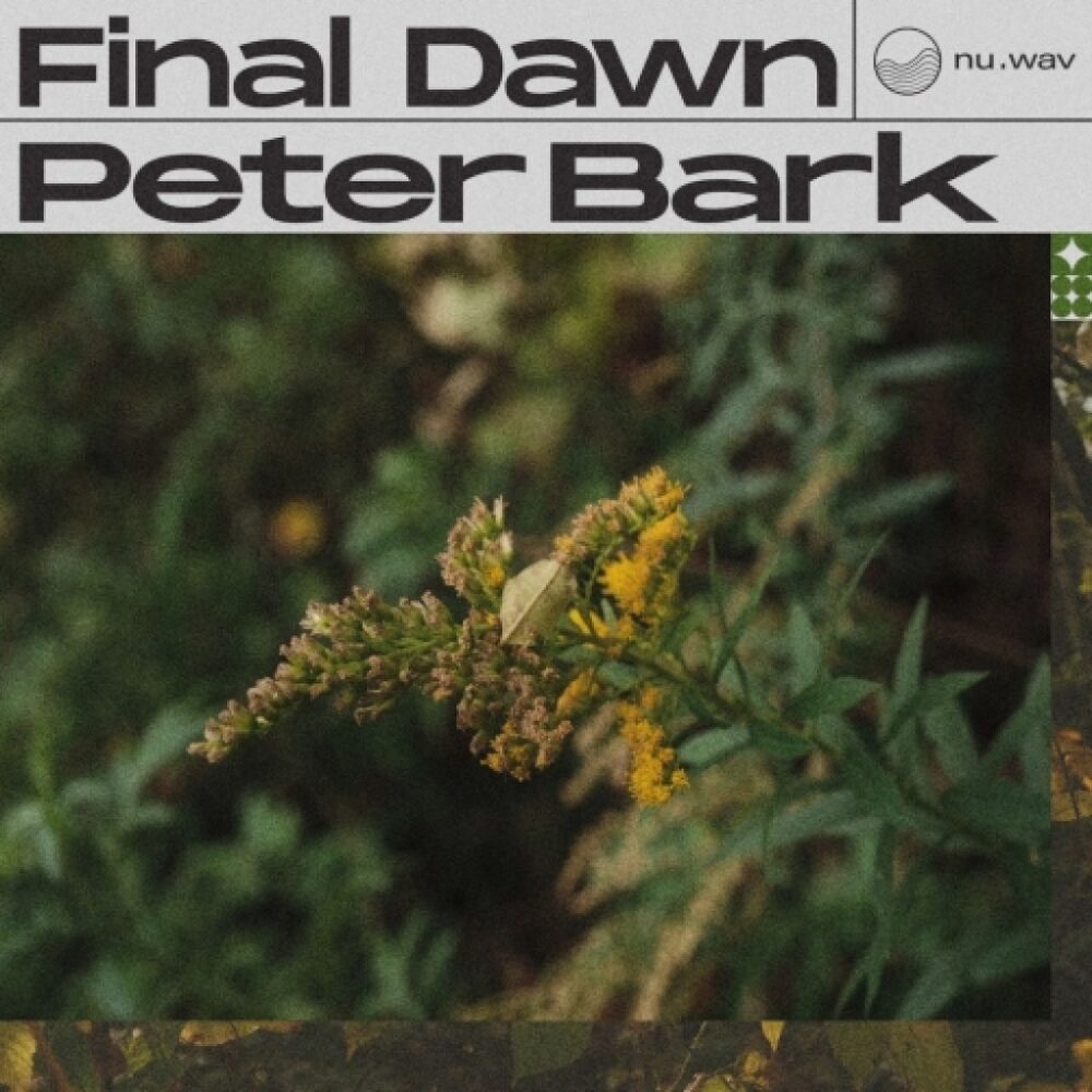 Peter Bark Final Dawn