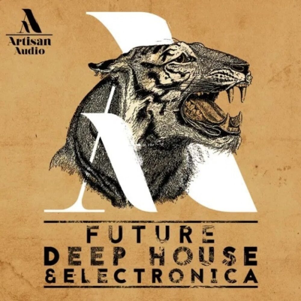 Future Deep House And Electronica
