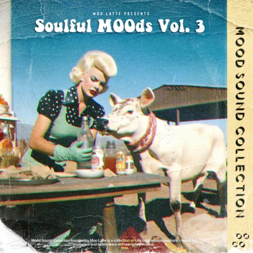 Soulful Moods Vol 3