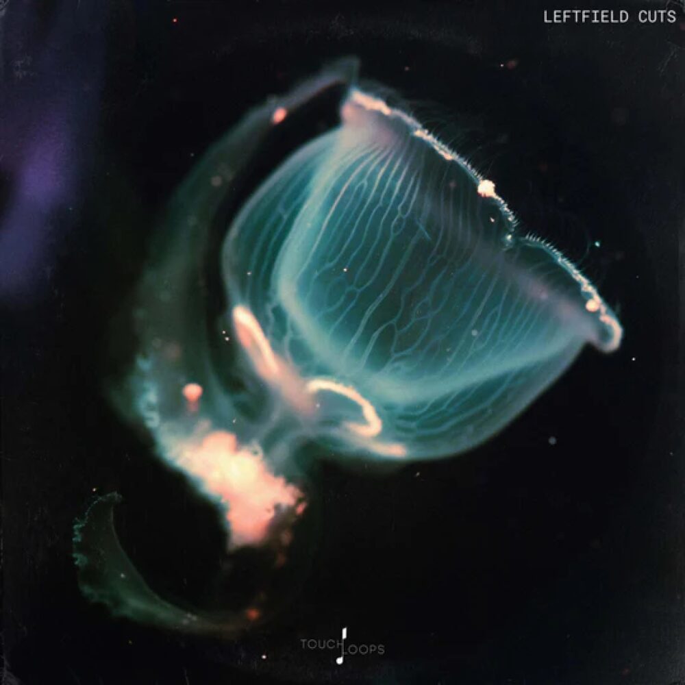 Touch Loops Leftfield Cuts