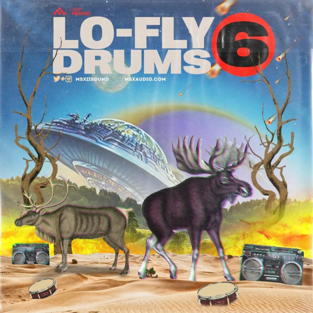Lo-Fly Drums 6