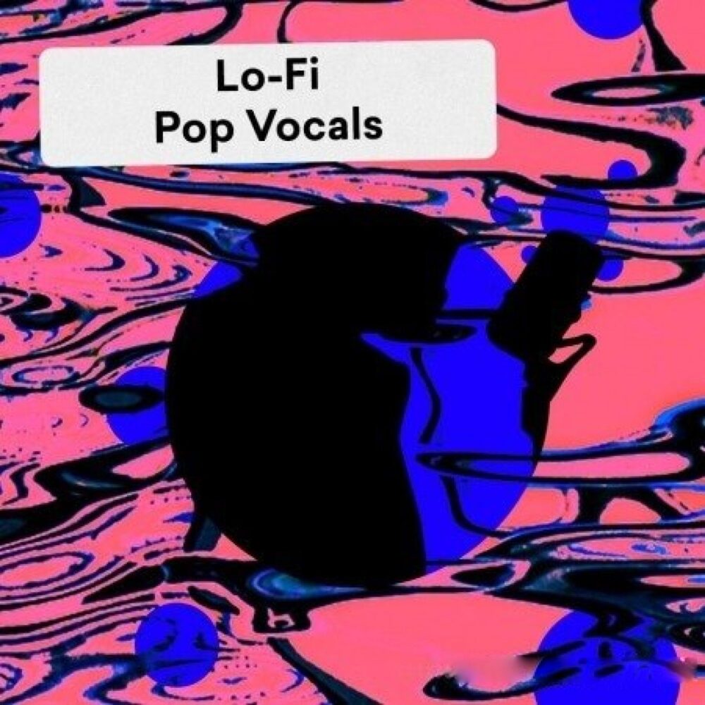 Lo-Fi Pop Vocals