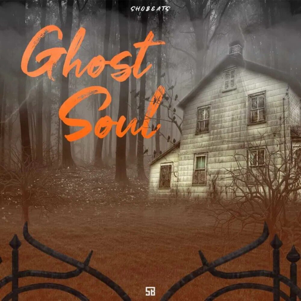 Shobeats Ghost Soul