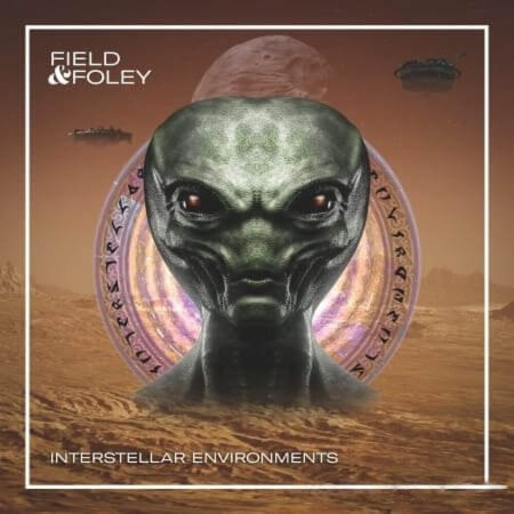 Interstellar Environments