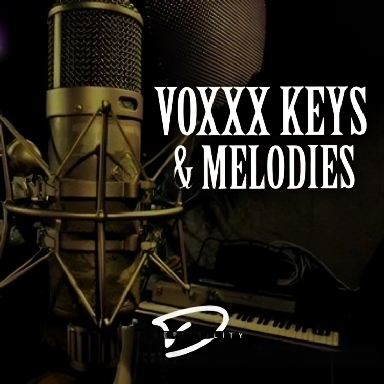 Voxxx Keys & Melodies