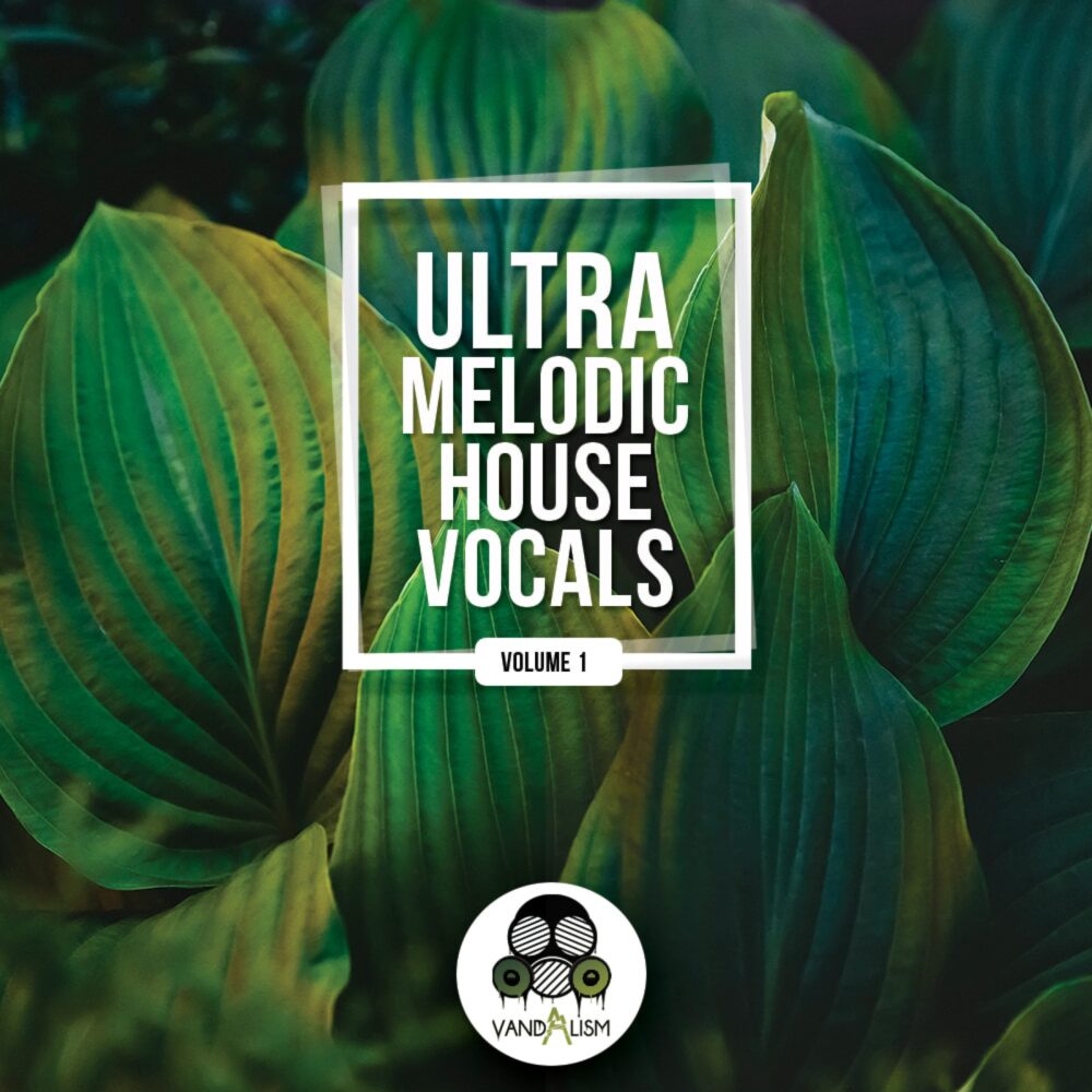 Ultra Melodic House Vocals