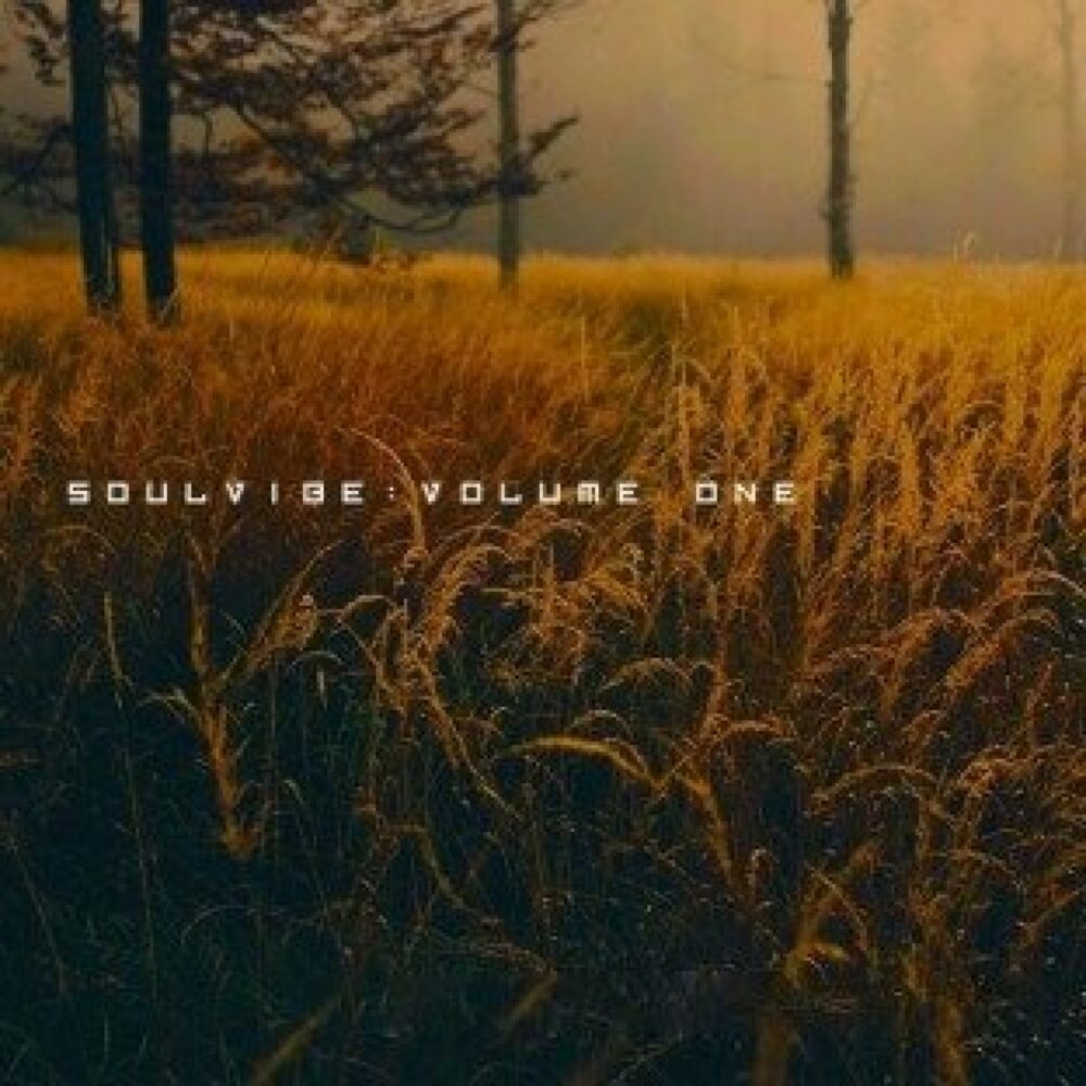 Soulvibe Vol 1