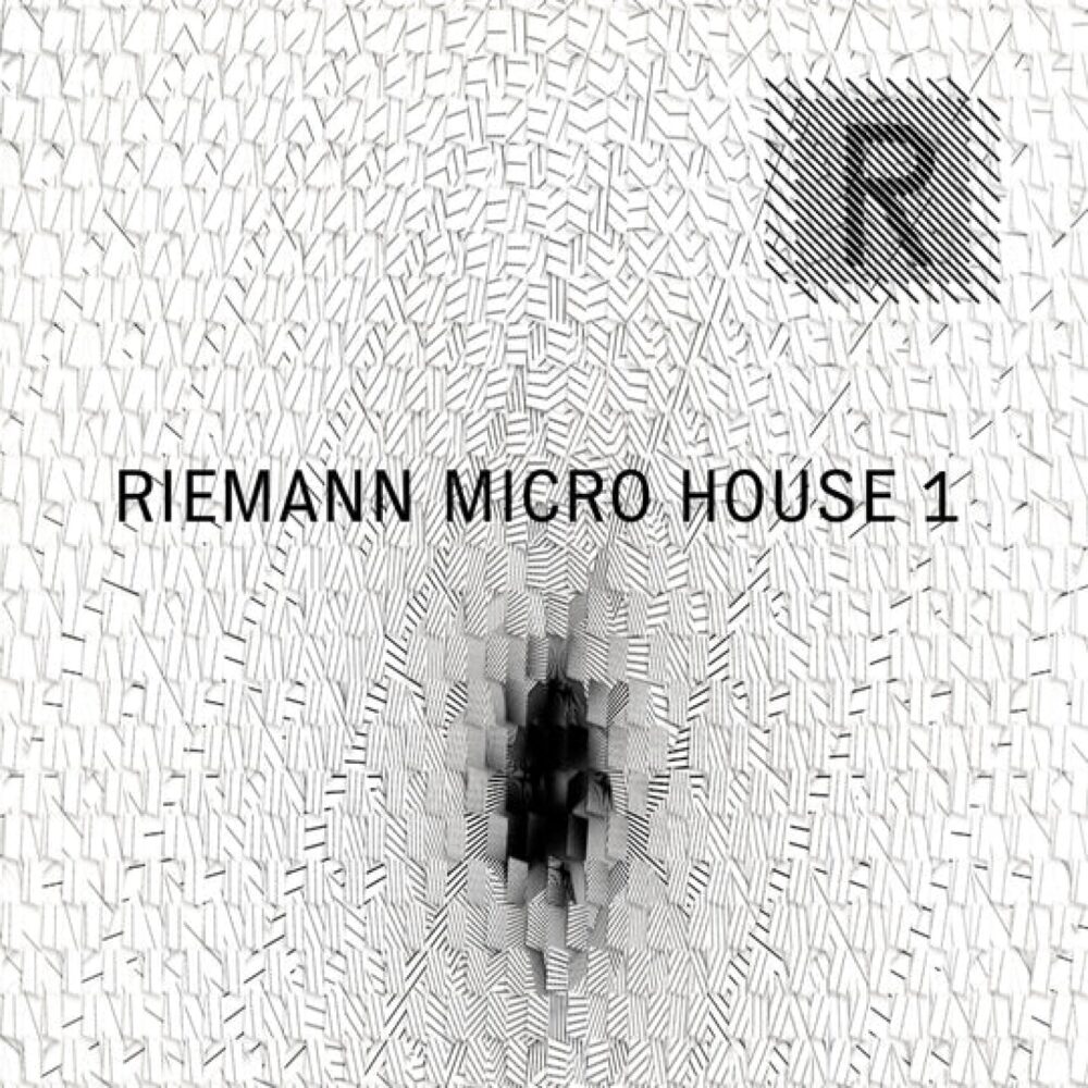 Riemann Micro House 1