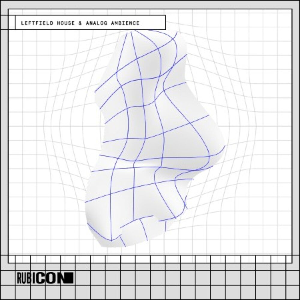 Leftfield House And Analog Ambience