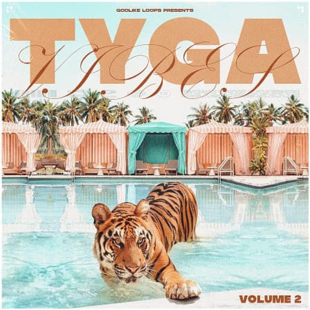 Tyga Vibes 2