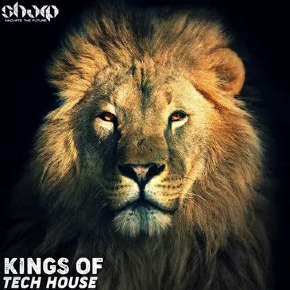 Kings Of Tech House