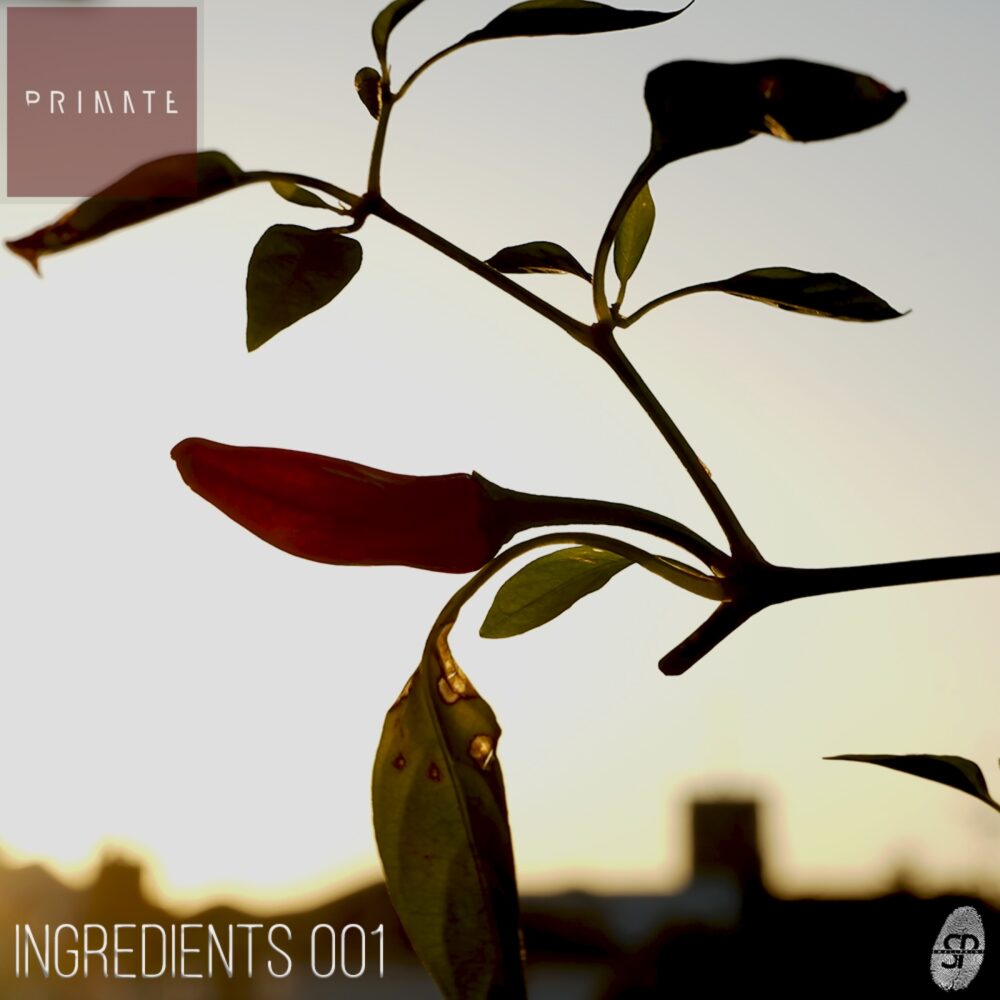Ingredients 001 Primate