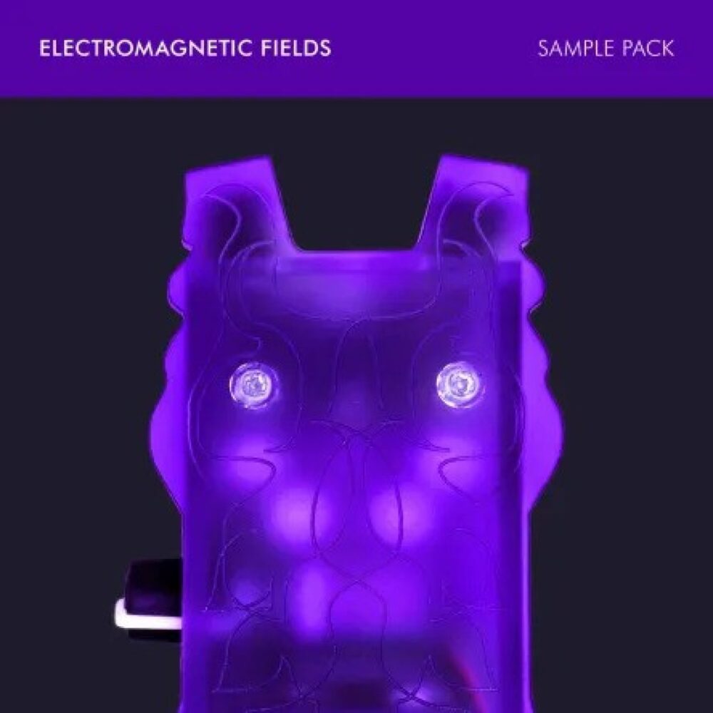 Electromagnetic Fields