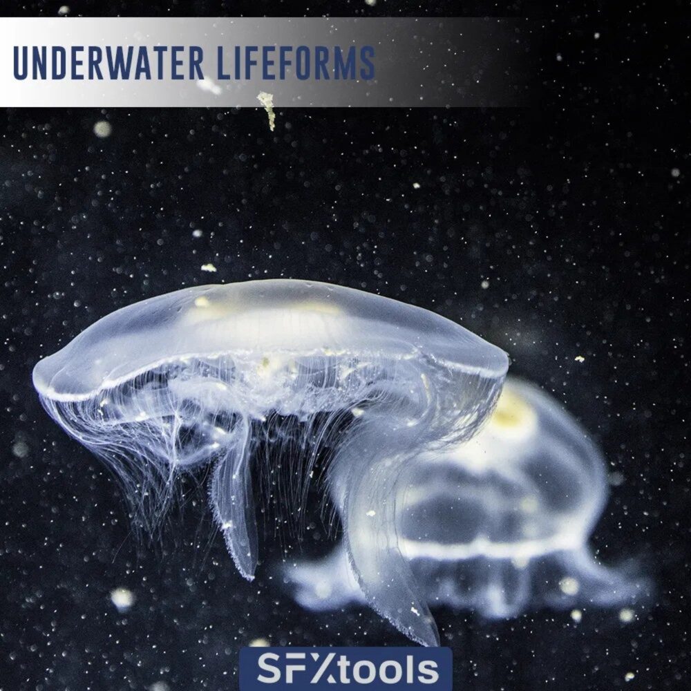 Underwater Lifeforms