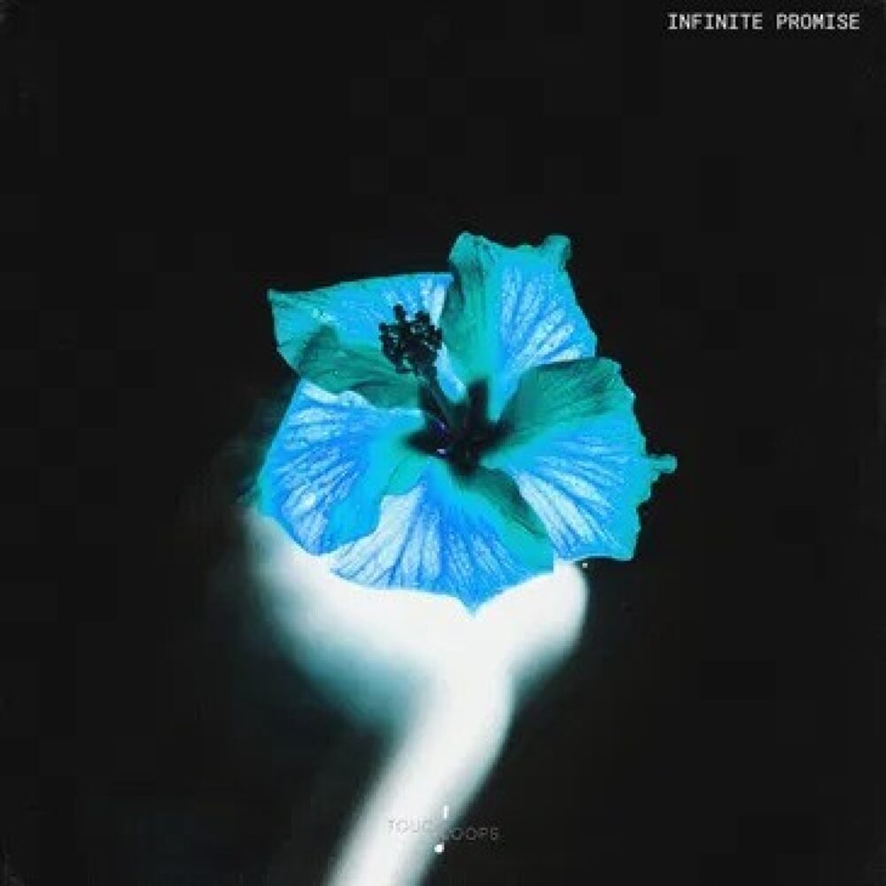 Infinite Promise
