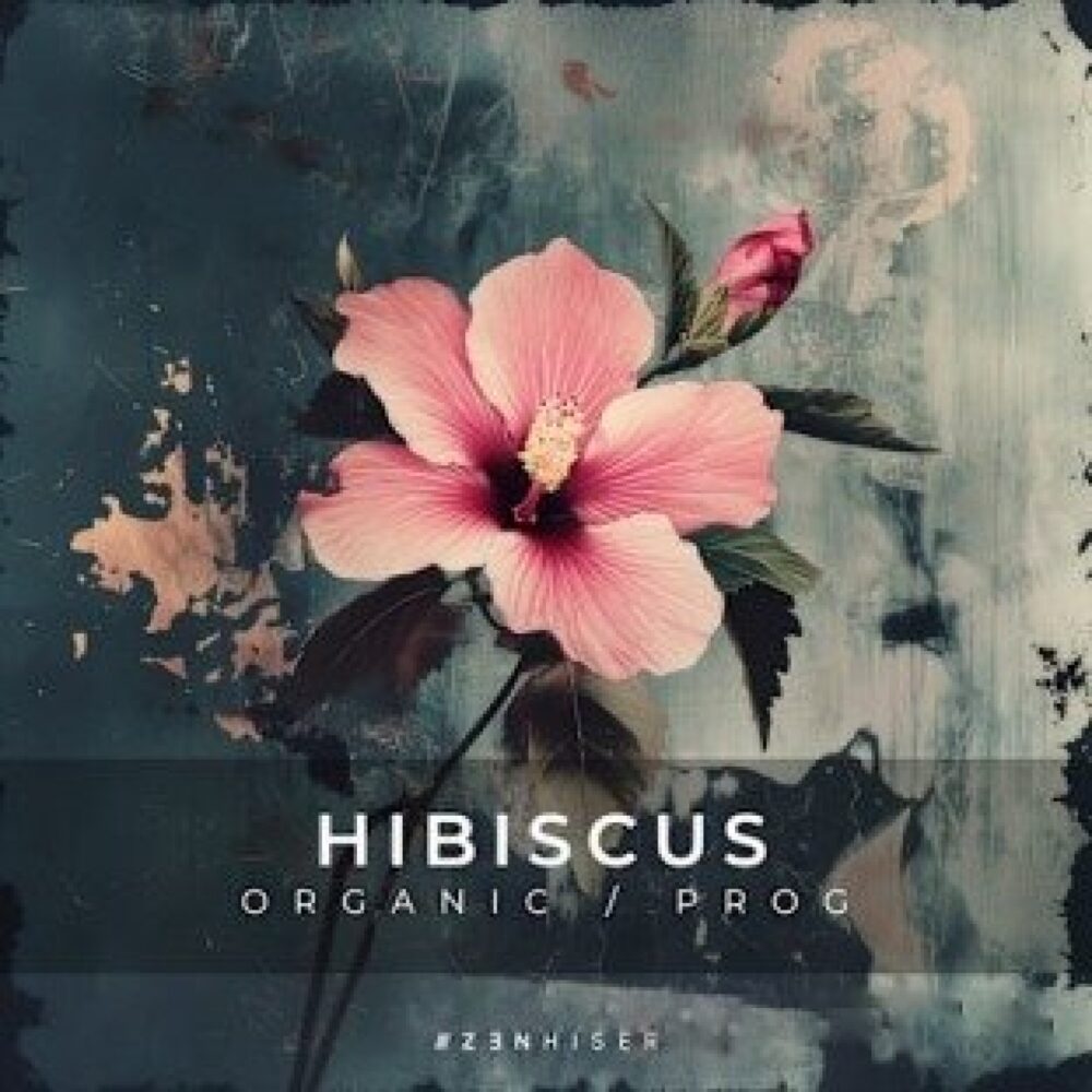 Zenhiser Hibiscus Organic Progressive