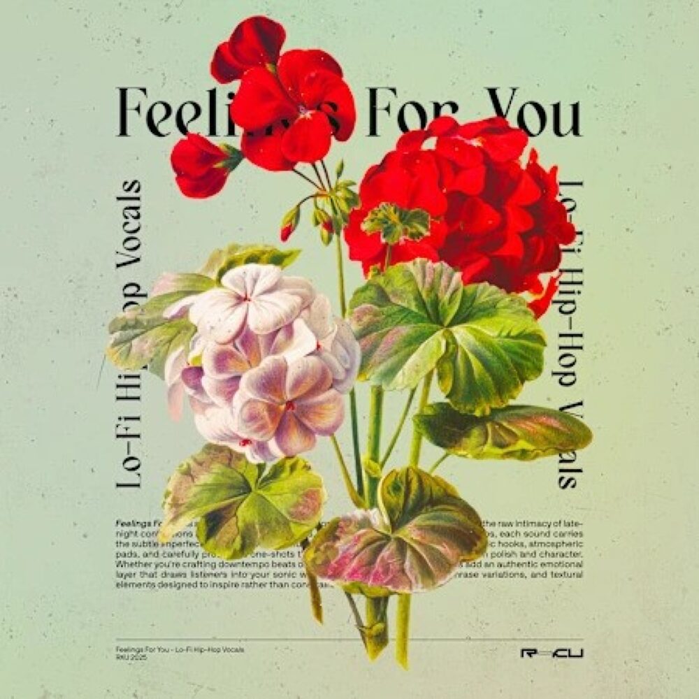 Feelings For You Lofi Vocals