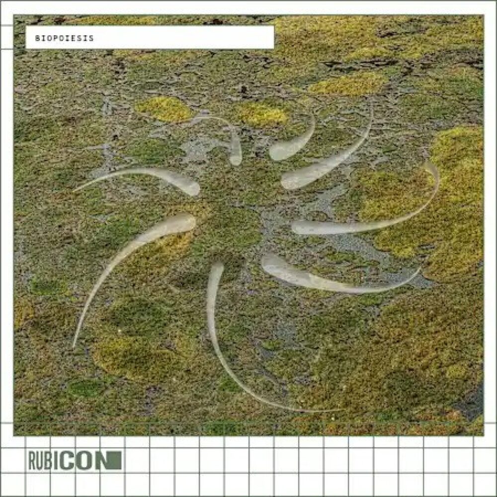 Rubicon Biopoiesis