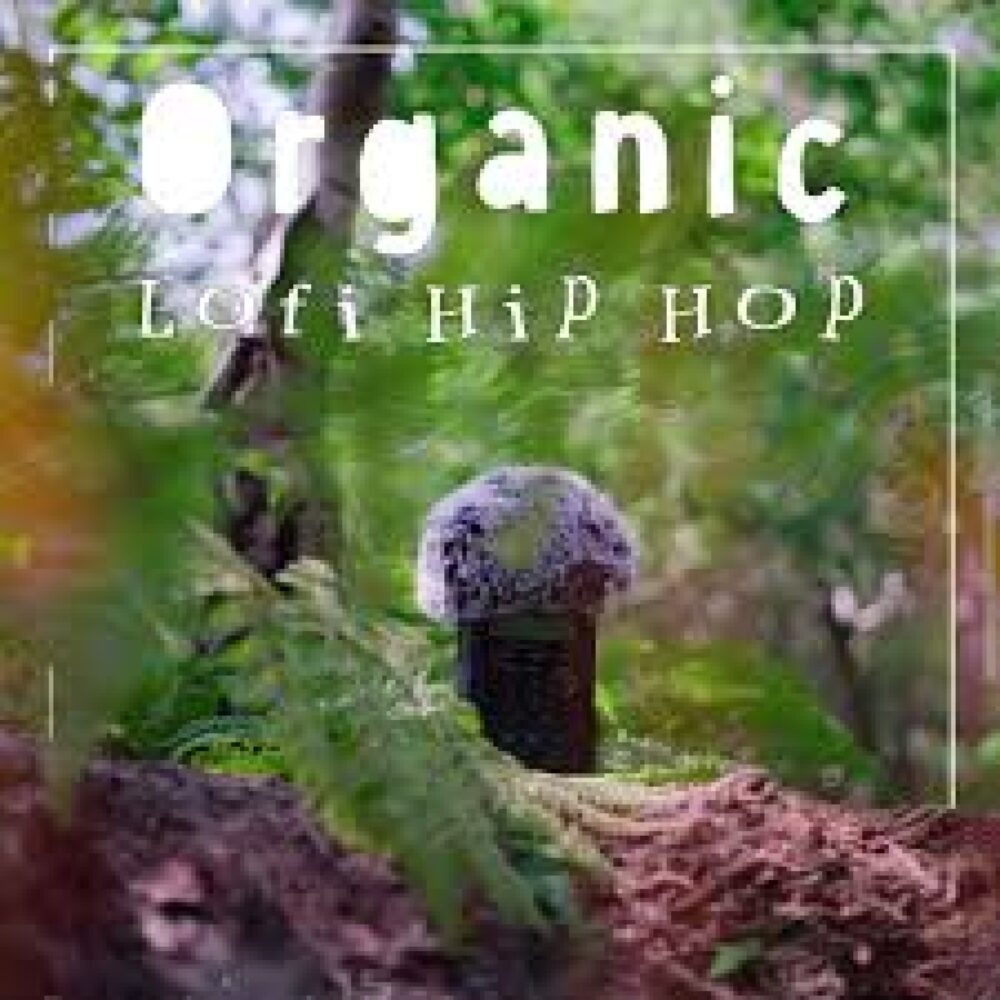 Mondo Loops Organic Lofi Hip Hop Vol 1