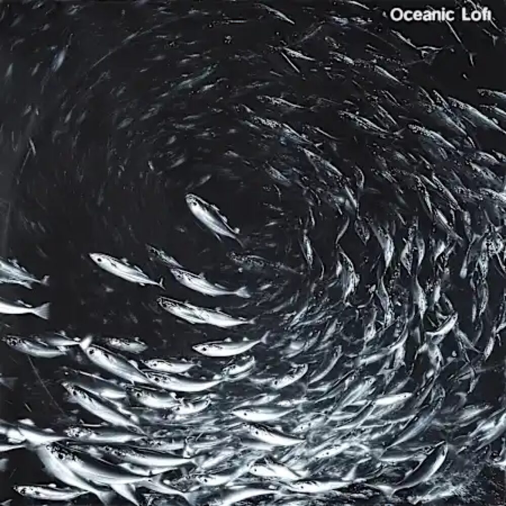 Touch Loops Oceanic LoFi