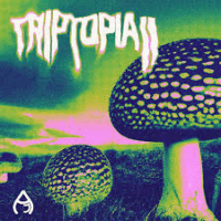 track-artwork