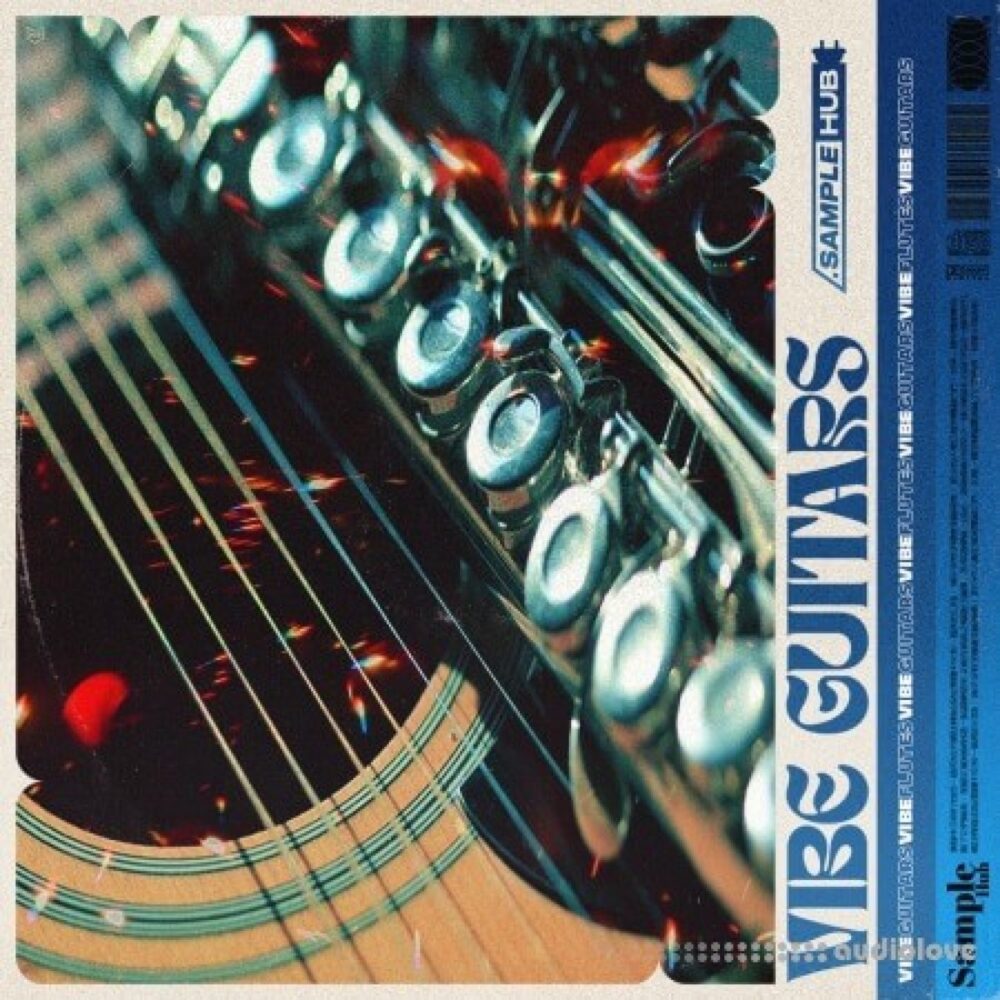 Vibe Guitars 2
