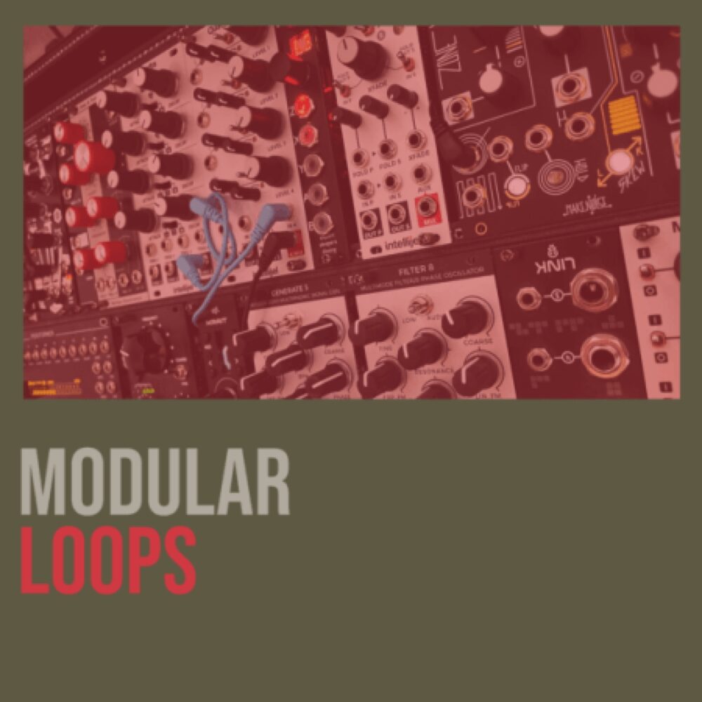 Shed Skin Records Modular Loops 1