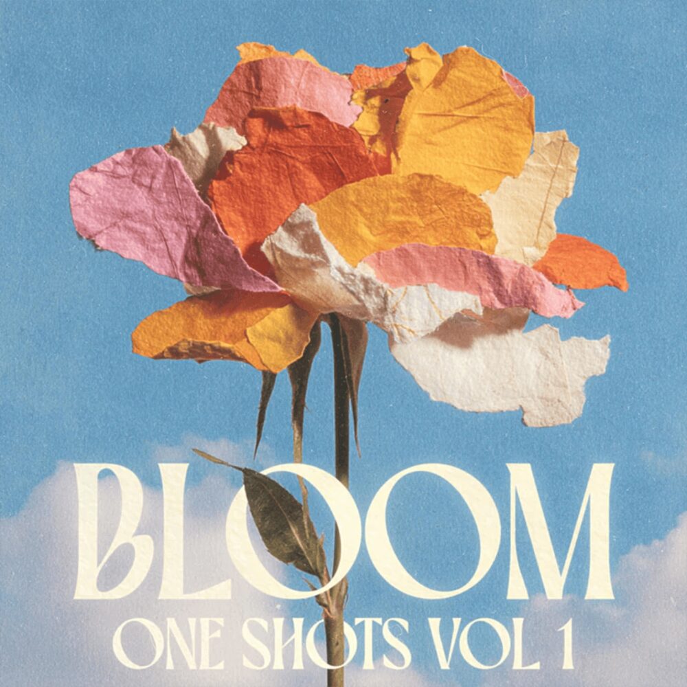 Bloom One Shots Vol.1