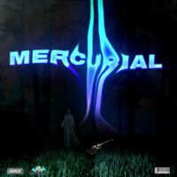 Mercurial Guitar Loop Kit