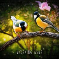 Morning ASMR Sounds Of Birds Chirping