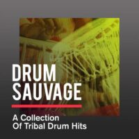 Drum Sauvage A Collection Of Tribal Drum Hits